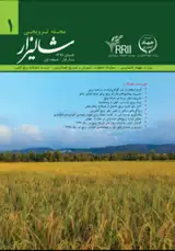 معرفی ویروس های بیماری زای برنج در ایران و راهکارهای کنترل آن ها