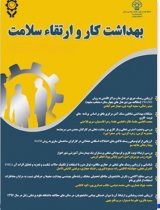 مطالعه سبک های هویت و هوش های چندگانه و رابطه آن با کیفیت زندگی کاری زنان شاغل در دانشگاه یزد