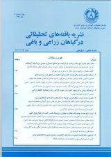 آوان، اولین رقم زیتون با عملکرد بالای روغن در مناطق نیمه گرمسیری ایران