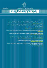 تحلیل پدیدارشناسانه برنامه کارآموزی مهارت آموزان طرح استخدامی ماده ۲۸ وزارت آموزش و پرورش