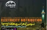رتبه بندی امور شرکت توزیع نیروی برق شیراز با استفاده از تکنیکتاکسونومی عددی
